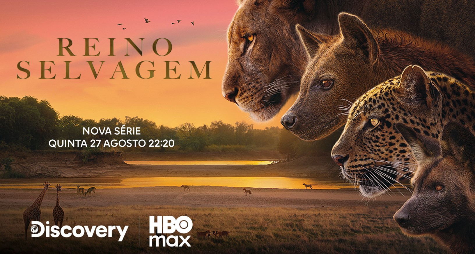 Nova série ‘Reino Selvagem’, da BBC Studios, estreia no Discovery e na HBO Max em 27 de agosto