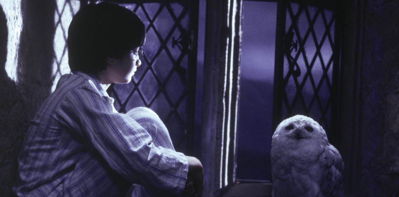 Celebração de 25 anos de ‘Harry Potter e a Pedra Filosofal’ segue em cartaz em cinemas de todo o Brasil